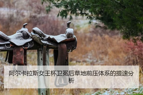 a-er-ka-la-si-nv-wang-bei-wei-mian-hou-cao-di-qian-ya-ti-xi-de-ti-su-fen-xi-2-555.jpg