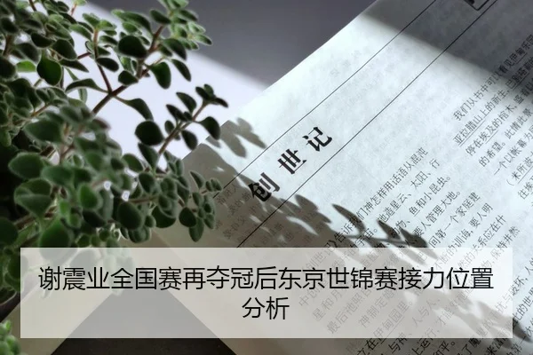 谢震业全国赛再夺冠后东京世锦赛接力位置分析